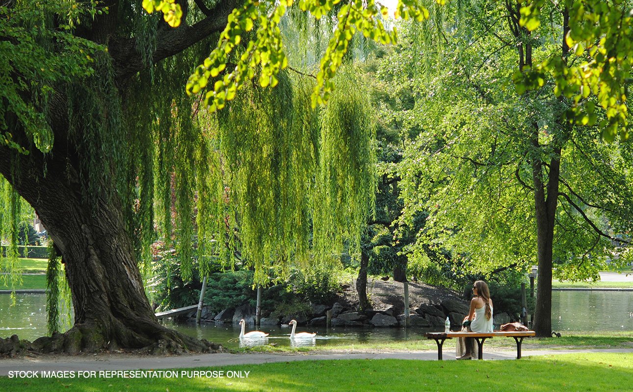 Godrej Aristocrat, Sector 49, Gurgaon